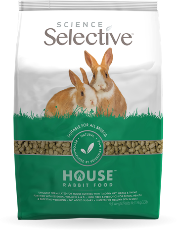 science-selective-house-rabbit-front