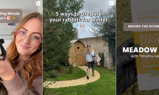 An image banner for a blog post about following on social media, featuring three Instagram posts. The first post shows a woman holding a guinea pig with the text "Bonding Winnie Part 1". The second post shows a person walking in a garden with a shed, with the text "5 ways to prepare your rabbits for winter". The third post shows a product package for "MEADOW LOOPS with Timothy Hay & Thyme" with the text "BEHIND THE SCENES MAKING".
